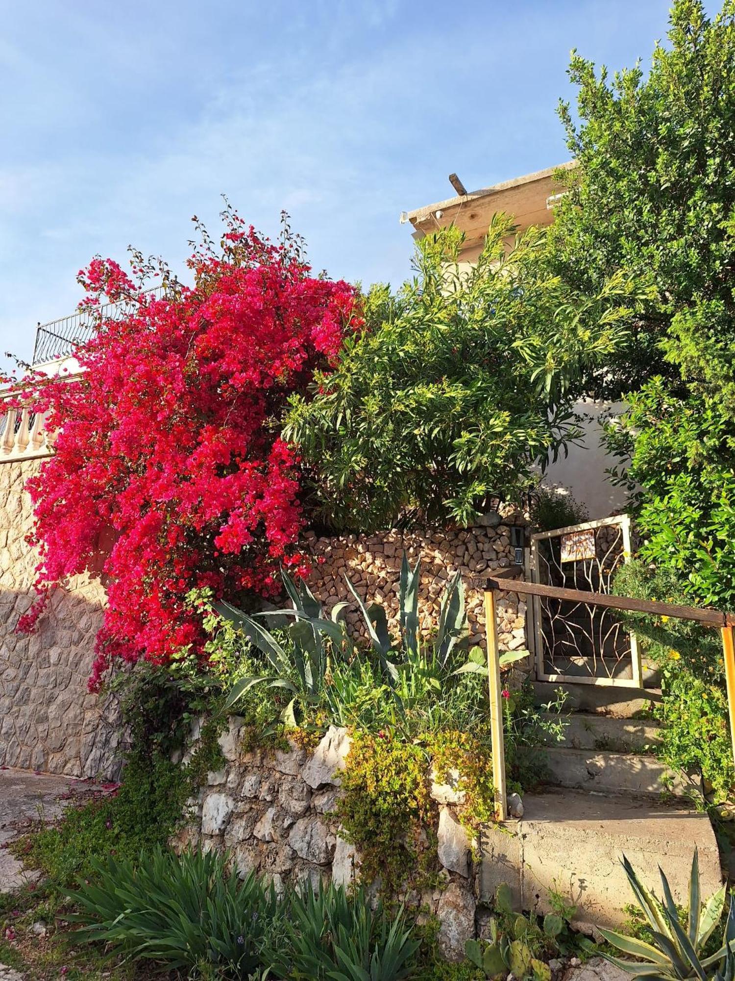 Sunnyday House Masline Exterior foto